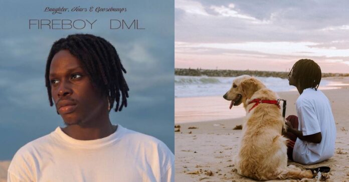 Laughter, Tears & Goosebumps: A review of Fireboy’s debut studio album Laughter, Tears & Goosebumps: A review of Fireboy’s debut studio album