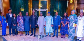 Nigerian Govt mulls stoppage of 190 taxes on businesses