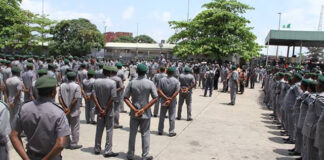 Customs generate N246bn in 10 months Nigeria Customs Service