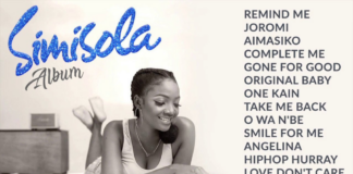 The top 10 Nigerian Albums that defined the 2010s