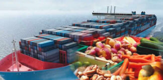 NBS reveals Nigeria’s export surges by 60% to N10.35tn in Q3