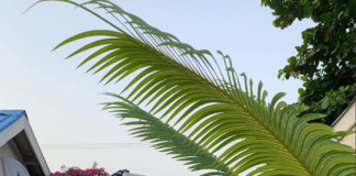 Acceptance: 2023 has been a tedious year Acceptance: It's been a tedious year