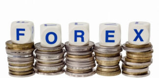 Despite FX Windfall, Six Government Agencies Brace for Forex Losses in 2024 Budget