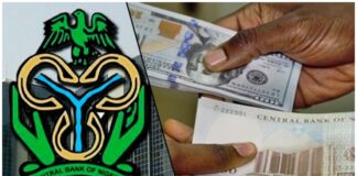 Nigeria spends $2.86bn on external debt servicing in eight months – CBN