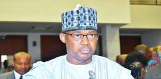 No fake 100 professors in Nigerian varsities – NUC