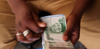Naira Freefall: Unraveling the forces sinking Nigeria’s currency