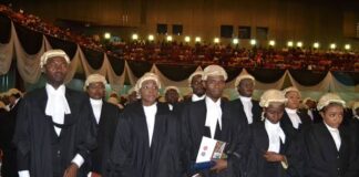 6 promising career options for law graduates