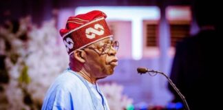 Tinubu appoints coordinator for national centre for control of small arms and light weapons