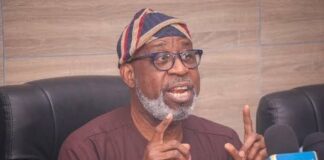 Minister calls on African nations to use mineral reserves as equity David Alake