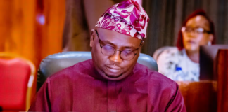 Power generation surge: A temporary boost or sustainable trend? Bayo Adelabu