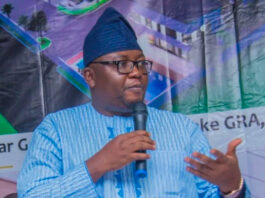 Minister of Power Adebayo Adelabu