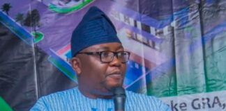 Nigeria seeks Egypt’s expertise to strengthen power generation, rural electrification Minister of Power Adebayo Adelabu