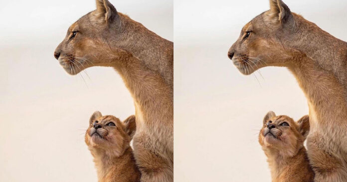 You need little wins, those small victories will make the difference in your lifetime You need little wins, those small victories will make the difference in your lifetime