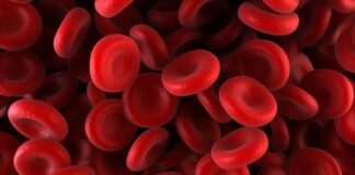 World Haemophilia Day: Know all about the bleeding disorder