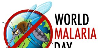 Nigerians face double threat: Malaria and soaring drug prices on World Malaria Day