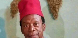 Zulu Adigwe, veteran Nigerian actor passes on Zulu Adigwe (Photo Credit: Daily Post)