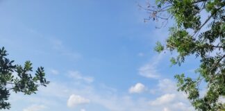 Japa: Here are 5 simple reasons to abscond from Nigeria