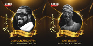 AMVCA 2024: See complete list of winners