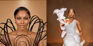 AMVCA 2024: See the top head-turning designs from the Award night