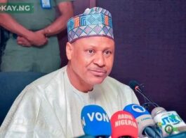 Minister of Information Mohammed Idris Malagi