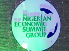 The Nigerian Economic Summit Group logo