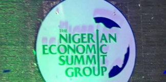 NESG raises concerns over CBN’s cybersecurity levy amid high cost of living The Nigerian Economic Summit Group logo