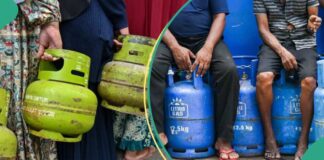 Cooking gas gets cheaper as export ban credited with price drop