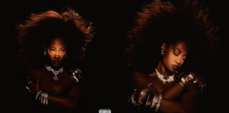 Born In The Wild: Tems’ interesting experimentation on her debut studio album Tems: Born In The Wild (Photo Credit: NRTC Library)