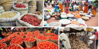 Food price relief on the horizon? Nigerian Govt projects crash in Jan 2025