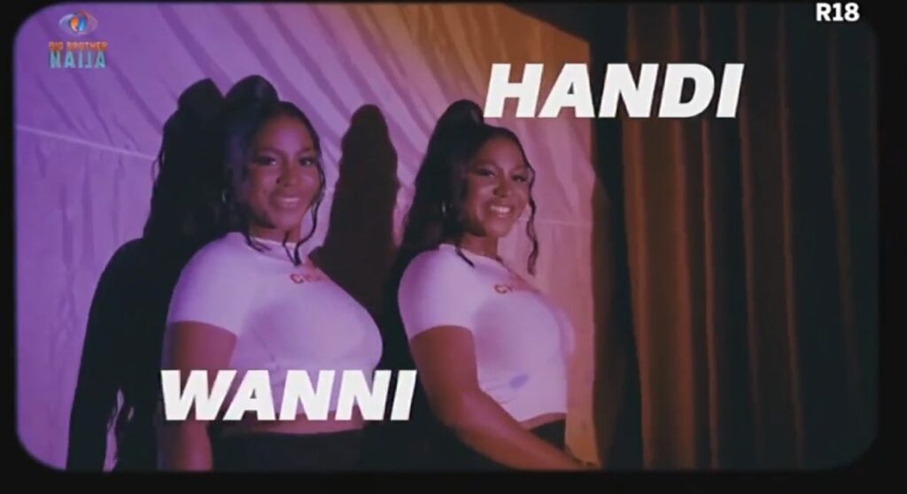 Handi and Wanni, a pair of twins at the 2024 BBNaija No Loose Guard