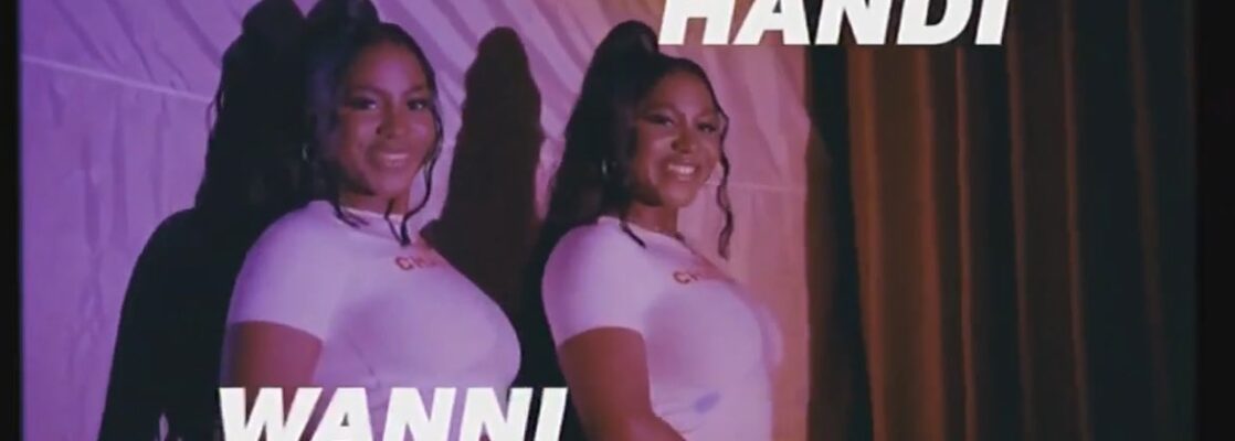 Handi and Wanni, a pair of twins at the 2024 BBNaija No Loose Guard