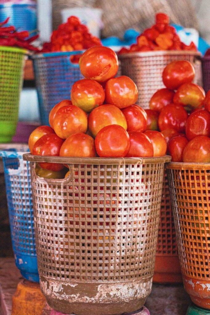 A basket of fresh tomatoes. 