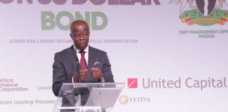 FG mandates BVN, NIN for domestic Dollar bond investors