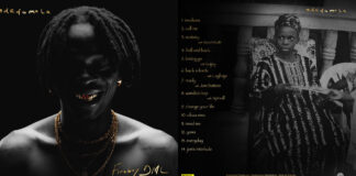 Adedamola: Here is what Fireboy thinks about his 4th studio album Fireboy- Adedamola
