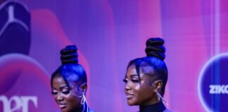 BBNaija twins disclose how a close friend leaked their nude photos