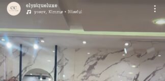 Chic dresses inspo for a fashionable lady