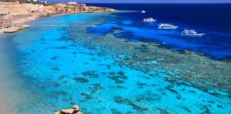 5 interesting facts you probably don’t know about the Red Sea The Red Sea