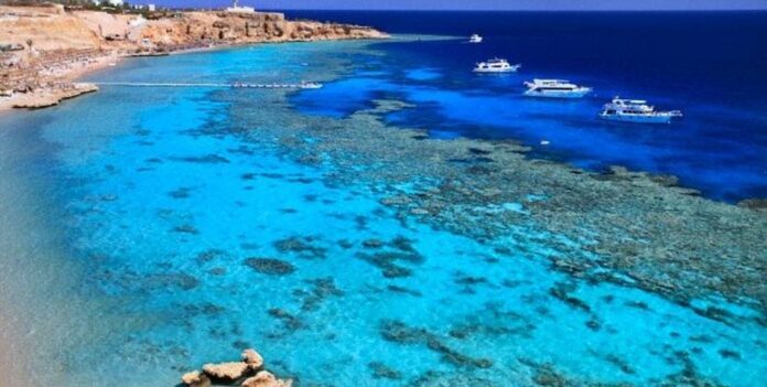 5 interesting facts you probably don’t know about the Red Sea The Red Sea