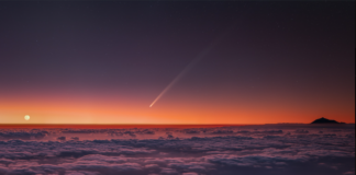 2020: How the strange events from 4 years ago could have led to a revolution The year 2020