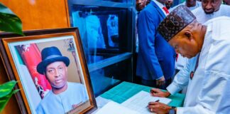 Shettima pays tribute to Ifeanyi Ubah