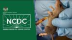 Lassa fever NCDC