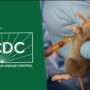 Lassa fever NCDC