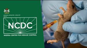 Lassa fever NCDC