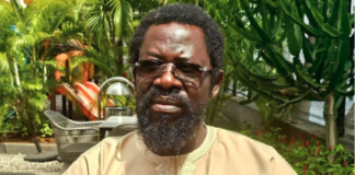 Court dismisses defamation charge against Dele Farotimi Dele-Farotimi