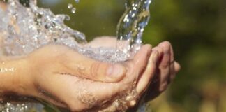 The hidden cost of AI: draining our Water resources Is Ai Draining Water Resource