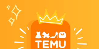 The Temu Plague: The e-commerce app enticing new customers with heavy product discounts Temu