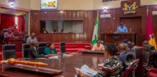 Oyo Assembly approves new consultant for Project Gazelle after governorโs request