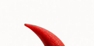 Breaking down sickle cell disease: Symptoms, triggers, and treatments Sickle red blood cell