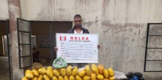 NDLEA intercepts N6.5bn opioids at Lagos, Rivers, arrests 2 British nationals in drug bust