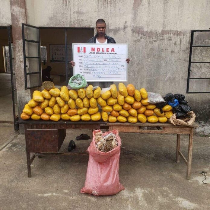 NDLEA intercepts N6.5bn opioids at Lagos, Rivers, arrests 2 British nationals in drug bust